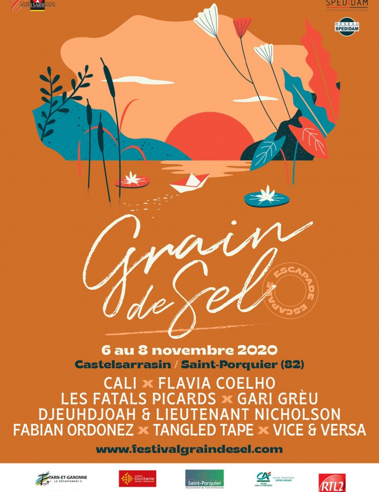 festival grain de sel 2020