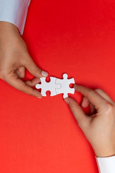 puzzle - rouge - solidarité - plan d'urgence - commissions - pca