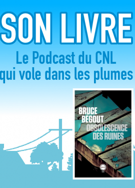 Son Livre - Bruce Begout