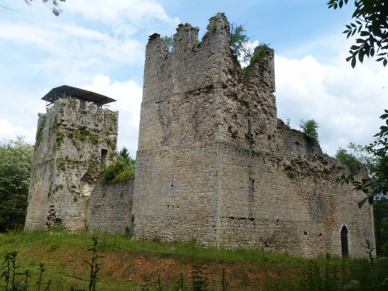 Photo du château de Thol