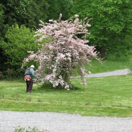 Librairie de l'Abbaye